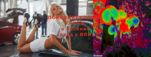 СК Волосово