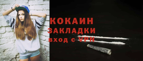 СК Волосово