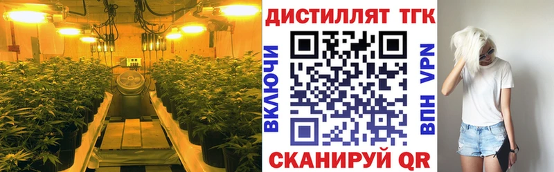ТГК гашишное масло  сколько стоит  Комсомольск-на-Амуре 