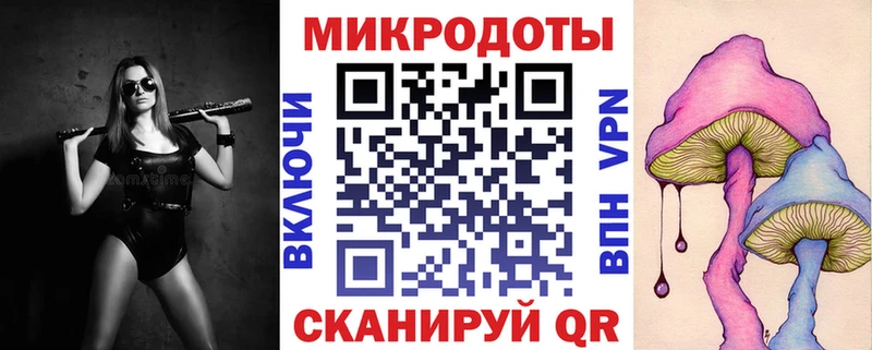 Галлюциногенные грибы Psilocybine cubensis Комсомольск-на-Амуре